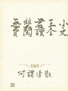 无双君王小说免费阅读全文