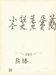 小说叶辰萧初然全文免费阅读