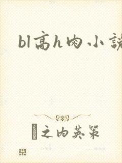 bl高h肉小说