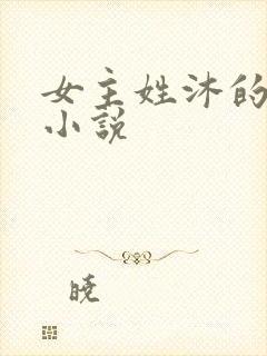 女主姓沐的穿越小说