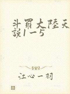 斗罗大陆天狂传说1一5