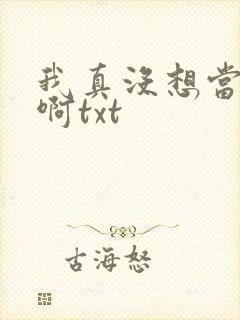 我真没想当反派啊txt