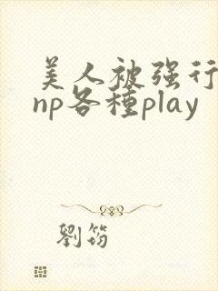 美人被强行糟蹋np各种play