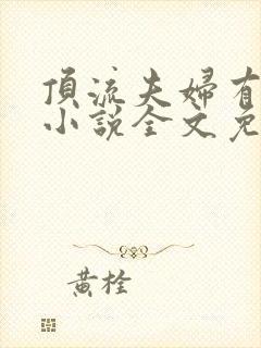 顶流夫妇有点甜小说全文免费阅读