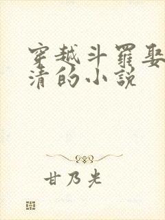 穿越斗罗娶朱竹清的小说