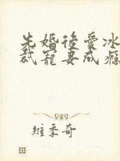 先婚后爱冰山总裁宠妻成瘾