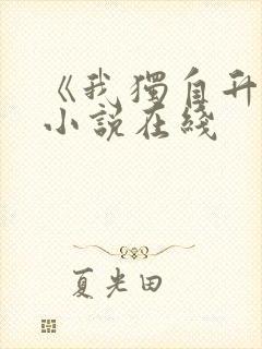 《我独自升级》小说在线