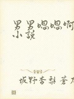 男男嗯嗯啊啊啊小说