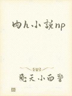 肉h小说np