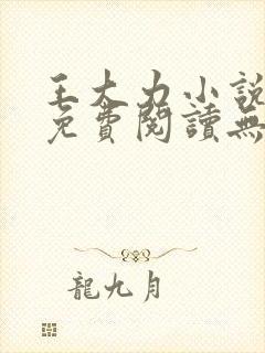 王大力小说小说免费阅读无弹窗封面