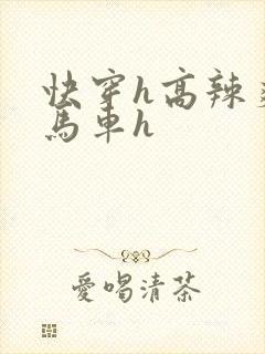 快穿h高辣爽文马车h