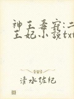 神王毒宠:二嫁王妃小说txt