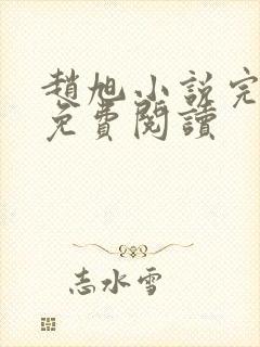 赵旭小说完整版免费阅读封面