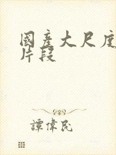 国产大尺度床戏片段