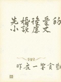 先婚后爱的古言小说虐文