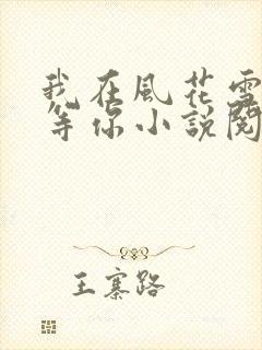 我在风花雪月里等你小说阅读