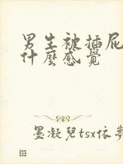 男生被插屁眼是什么感觉