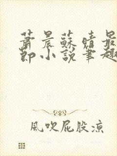 萧晨苏晴最新章节小说笔趣阁