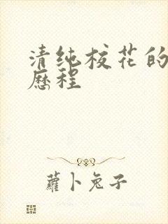 清纯校花的调教历程