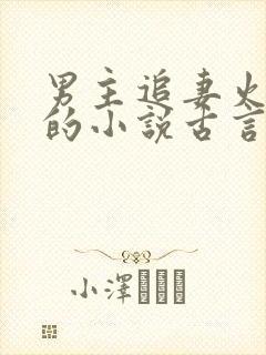 男主追妻火葬场的小说古言