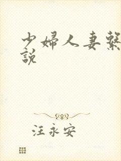 少妇人妻系列小说