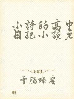小诗的高中成长日记小说免费阅读封面