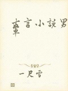 古言小说男主将军封面