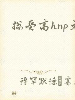 总受高hnp文