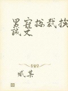 男宠总裁挨打训诫文