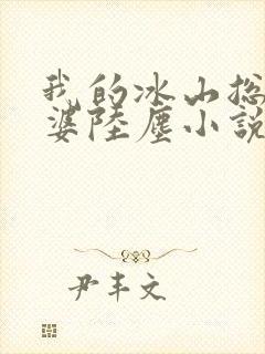 我的冰山总裁老婆陆尘小说封面