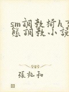 sm调教椅h变态调教小说封面