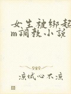 女生被绑起来sm调教小说