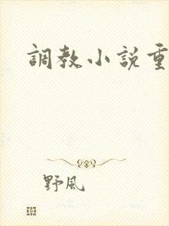 调教小说重口封面