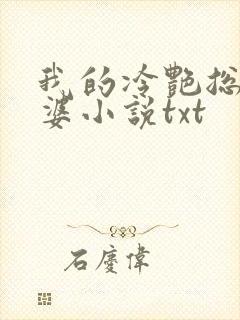 我的冷艳总裁老婆小说txt