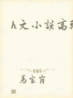 h文小说高干文