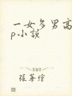 一女多男高hnp小说