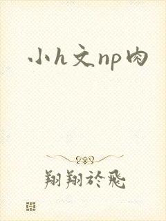 小h文np肉