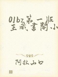 01bz第一版主藏书阁小说网在线