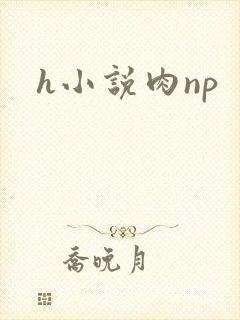 h小说肉np