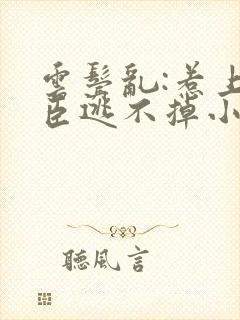 云鬓乱:惹上奸臣逃不掉小说免费阅读封面