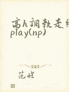 高h调教走绳 play(np)