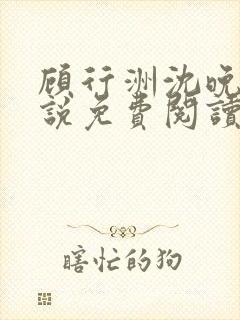 顾行洲沈晚宁小说免费阅读最新章节封面