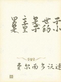 男主是世子其实是皇子的小说