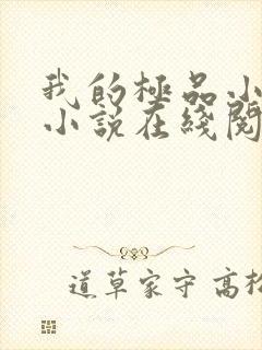 我的极品小姨 小说在线阅读