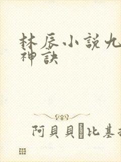 林辰小说九天斩神诀封面