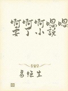 啊啊啊嗯嗯嗯不要了小说