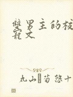 双男主的校园甜宠文