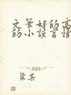 文笔好的高质量的小说言情已完结