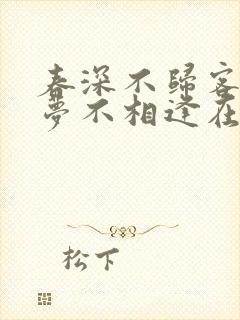 春深不归客,清梦不相逢在线阅读封面