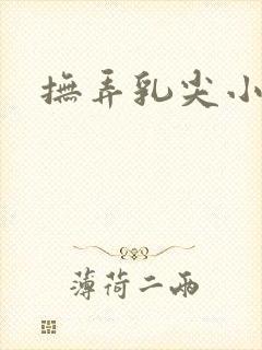 抚弄乳尖小说